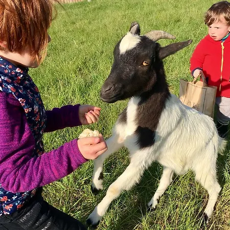 O2 אתר קמפינג 4*