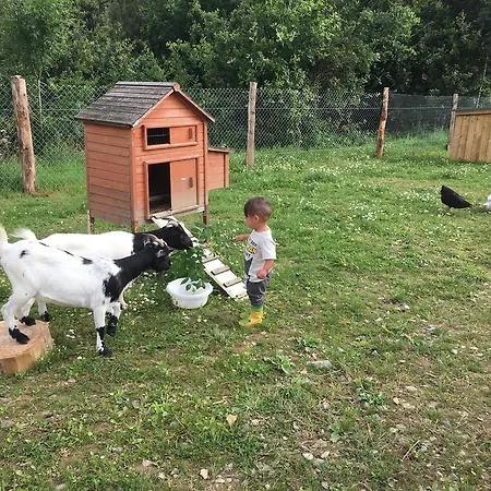 אתר קמפינג O2