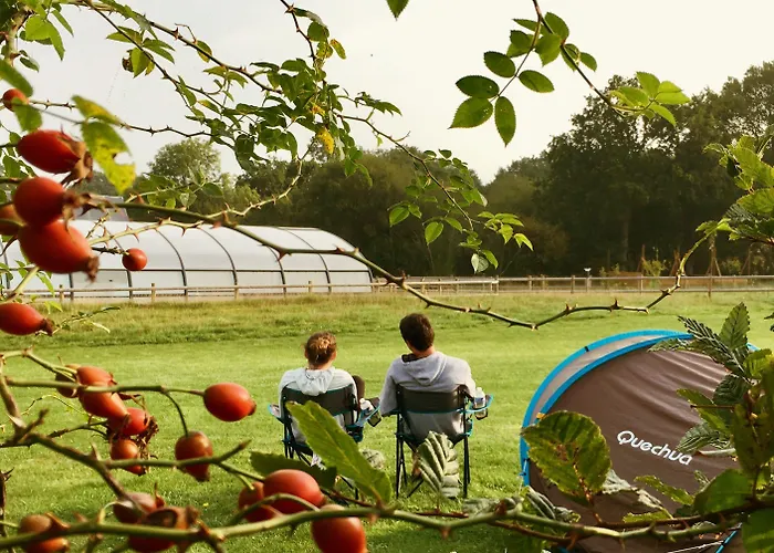 O2 4* Longueville (Manche)